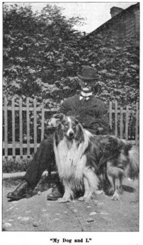 1917_collie_salemsentinel_georgevanderveer